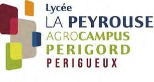 la-peyrouse