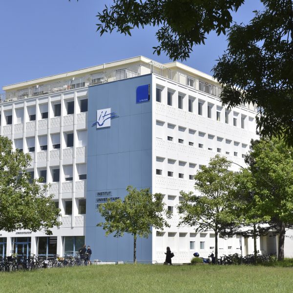 Logo de la formation