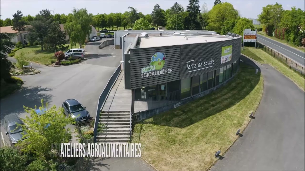 Logo de la formation